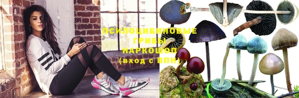 СК Верея