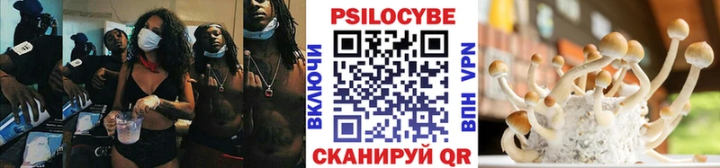 Купить закладки  Отрадное  Псилоцибиновые грибы Psilocybe 